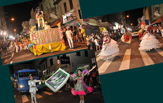 Carnaval De Botucatu Poder Ter Cinco Escolas De Samba Jornal