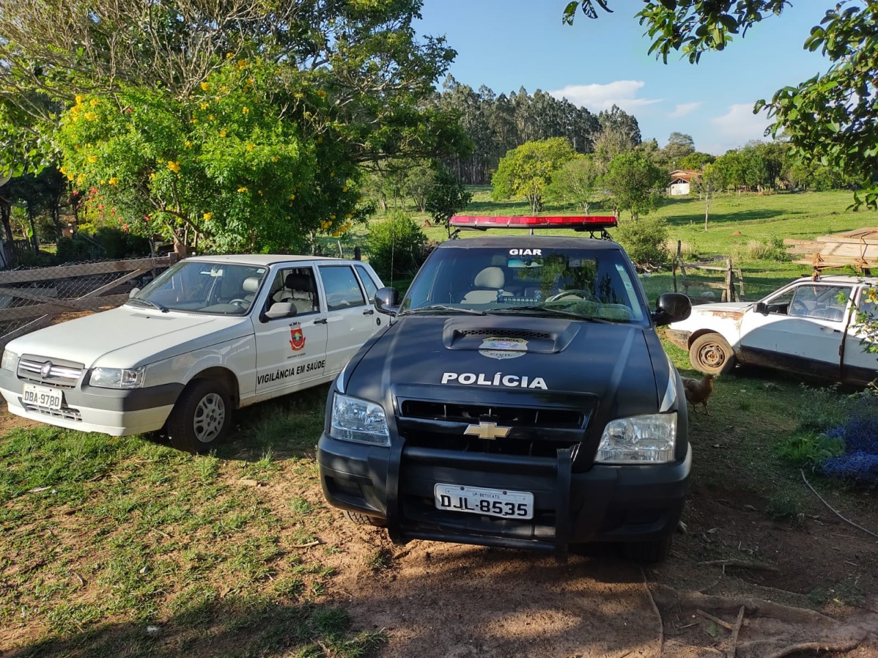 Giar Da Pol Cia Civil De Itatinga Resgata Duas Vacas V Timas De Maus