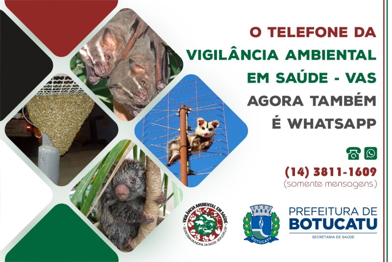 Telefone Da Vigil Ncia Ambiental Em Sa De De Botucatu Agora Tamb M