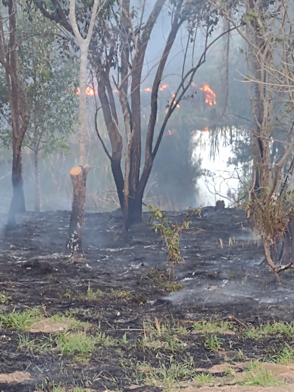 Fogo consome vegetação em área de 35 mil metros na zona rural de