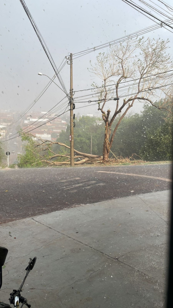 Tempestade Causa Estragos Em Bairros De Botucatu Jornal Acontece Botucatu