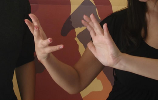 NAPE de Botucatu oferece curso gratuito de Libras