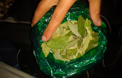 TOR faz apreensão de folhas de coca em ônibus