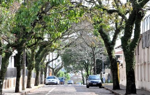 Funcionário é preso por furto de escova elétrica