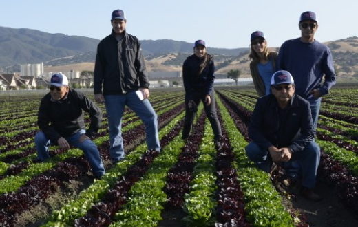 FCA visita áreas de produção de hortaliças nos EUA‏