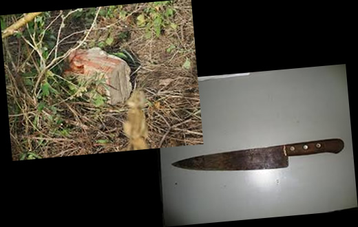 Briga entre irmãos e mãe vai parar na delegacia