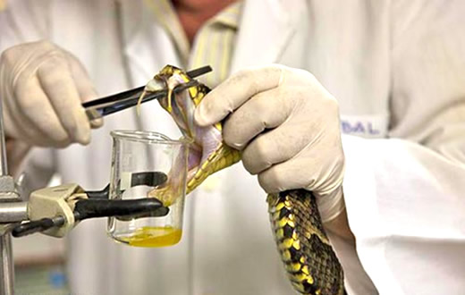 Cevap quer reativar o curso  Internacional em Toxinologia