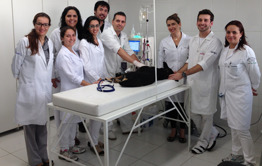 FMVZ de Botucatu é pioneira em hemodiálise em animais