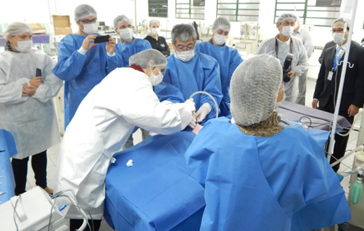 Unesp capacitou veterinários para videocirurgia‏