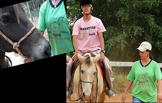 APAPE realiza leilão para reverter ?  equoterapia