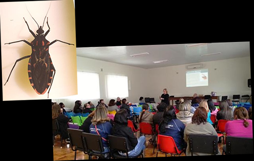 Saúde passa por capacitação sobre Doença de Chagas