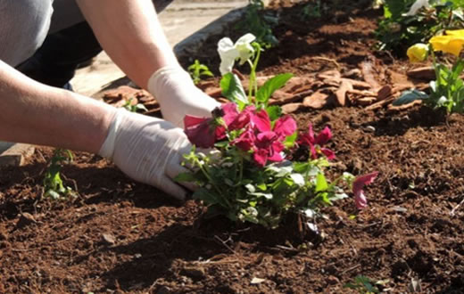 Senac Botucatu abre curso gratuito de jardineiro