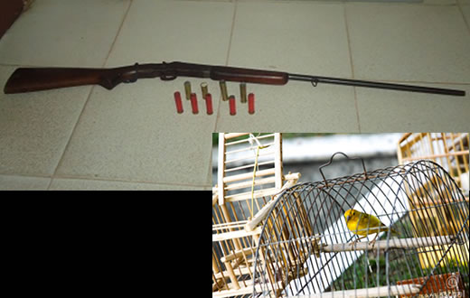 PM flagra posse ilegal de arma e crime ambiental