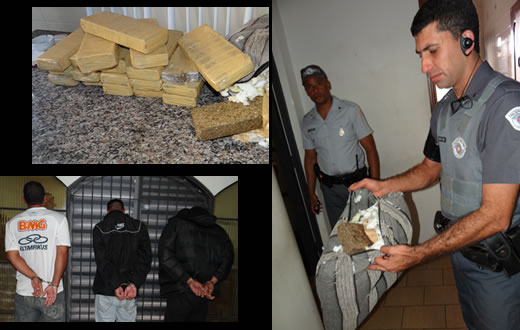 PM realiza apreensão de mais de 16 kg da maconha