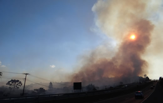 Corpo de Bombeiros combate incêndio em rodovia