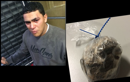 Ação da PM e DISE resulta em apreensão de maconha