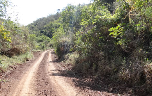 Idoso é vítima de seqüestro  relâmpago no Jardim Planalto