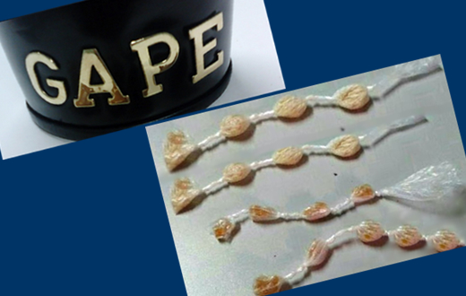 Rapaz com várias pedras de crack é preso pela GCM