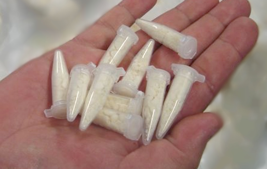 PM apreende 38 pinos de cocaína na Vila Antártica