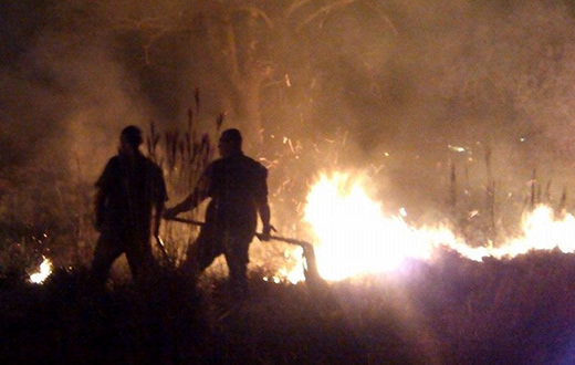 Incêndio destroi área nativa do Parque das Cascatas