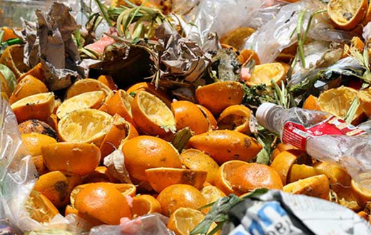 Escolas receberão o programa Coleta Mais