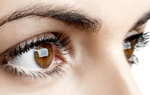 Faculdade de Medicina realiza palestra sobre cegueira