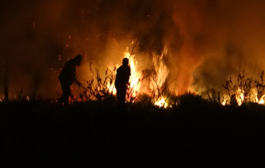 Incêndio causa destruição na Zona Sul do Município