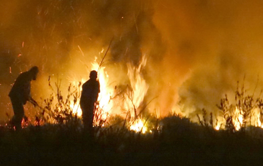Defesa Civil prorroga campanha contra queimadas