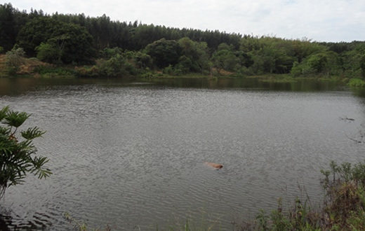 Homem de 36 anos morre afogado em represa