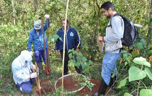 Diagnóstico arqueológico é iniciado no Parque da Marta