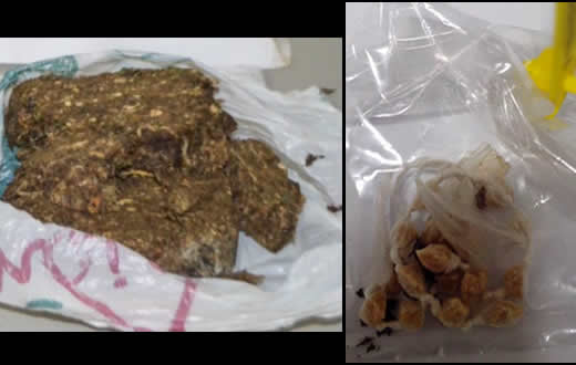 PM apreende porções de cocaína e tijolo de maconha