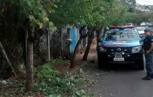 Guarda Municipal averigua caso de crime ambiental