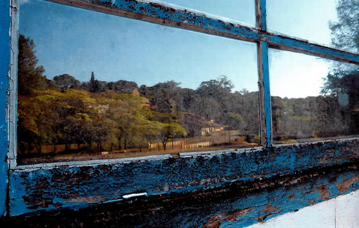 FCA/Unesp divulga resultado do concurso de fotografias