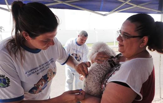 Campanha imuniza mais de 20 mil cães e gatos