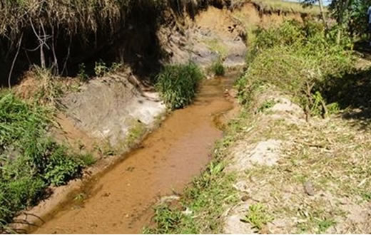 Sabesp faz 40 anos com limpeza e soltura de peixes