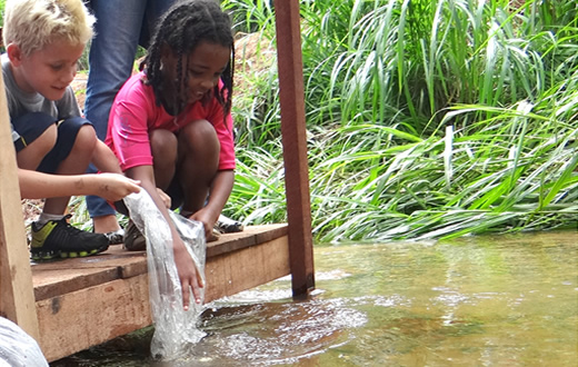 Repovoamento de peixes é feito no rio Lavapés