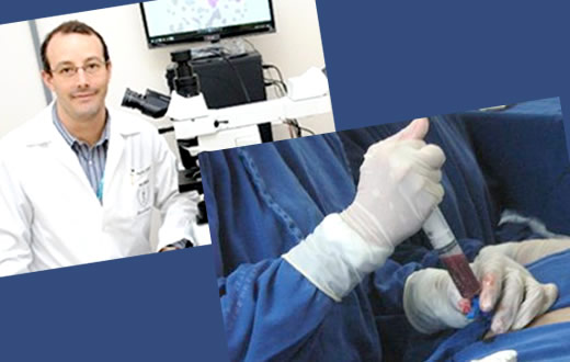 HC terá nova tecnologia em transplante de medula