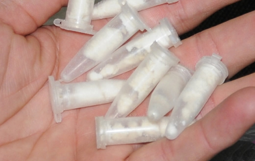 PM realiza dois flagrantes de tráfico de drogas