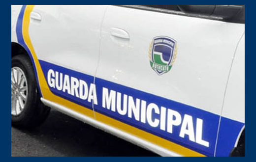 Homem arremessa cão da altura de quatro metros