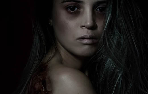 Conselho faz balanço de campanha contra violência