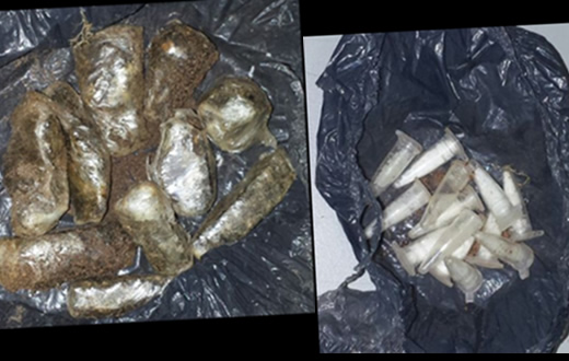 PM flagra dupla em ação de traficância na Cohab V