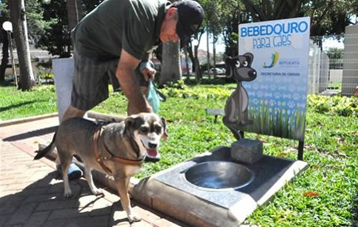 Bebedouro para cães faz sucesso em praça de Botucatu