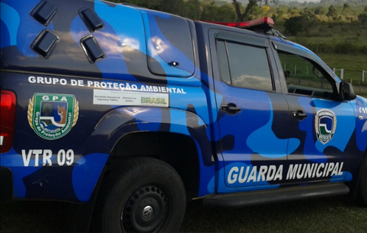 Guarda flagra criação de cavalos em locais impróprios