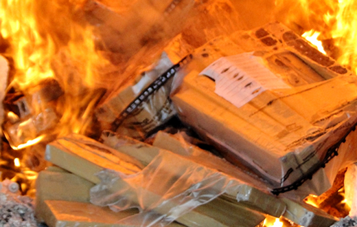 DISE realiza incineração de 54 kg de entorpecentes