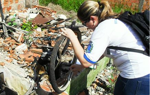 Ambiental avalia foco de larvas do mosquito da dengue