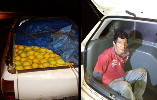 PM prende cidadão com 400 kg de laranja furtada