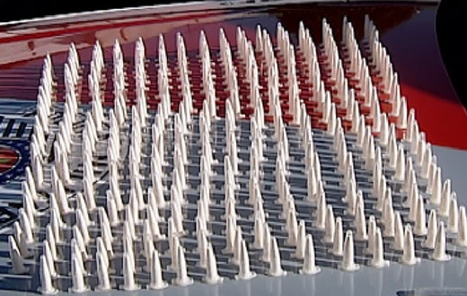 Adolescente de 14 anos é detido com 173 pinos de cocaína