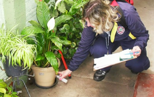 Confirmados três casos de dengue  em Botucatu