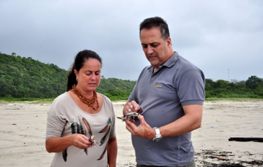 Botucatuense atende invasão de caranguejos em Bertioga