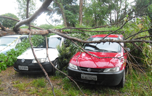 Árvores derrubadas pelo vento  atingem veículos